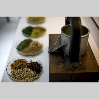 Zutaten für die Mariazeller Magentropfen nach einer Rezeptur aus 1780 in der Apotheke zur Gnadenmutter | © STG | Tom Lamm