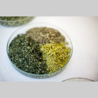 Zutaten für die Mariazeller Magentropfen nach einer Rezeptur aus 1780 in der Apotheke zur Gnadenmutter | © STG | Tom Lamm