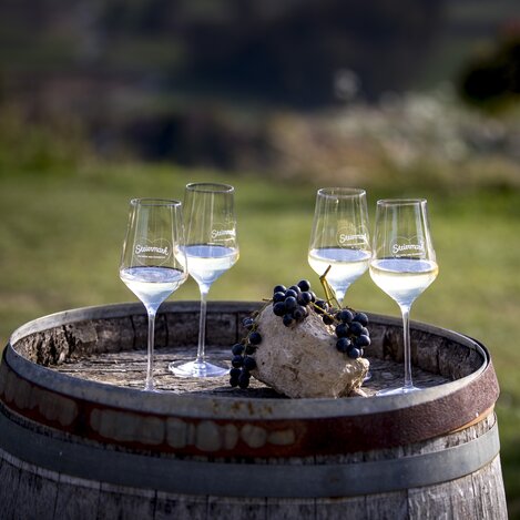 beim Weingut Harkamp, St. Nikolai im Sausal | © STG | Tom Lamm