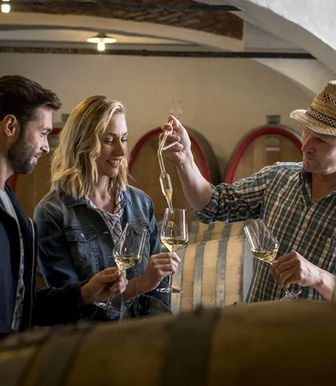 Wine tasting with Hans Söll, wine-growing estate Söll, Sernauberg | © Südsteiermark | Tom Lamm