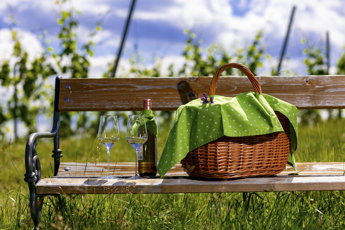 Picknick im Weingarten | © STG | Harry Schiffer