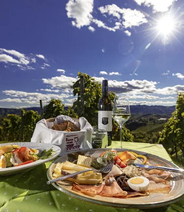 In the vineyard of the Dreisiebner Winery | © Steiermark Tourismus | Harry Schiffer
