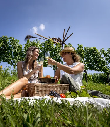 Picnic in vineyard (Ratsch at the wine route) | © Steiermark Tourismus | Tom Lamm