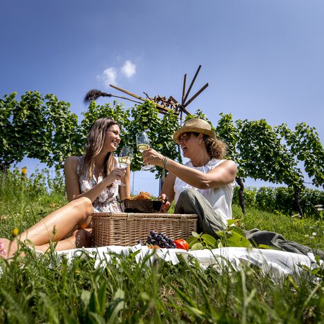Picknick im Weingarten (mit Klapotetz, Ratsch a. d. Weinstraße) | © STG | Tom Lamm