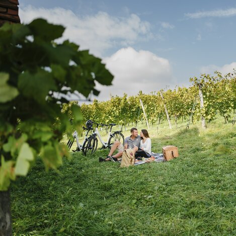 Radl-Picknick in St. Ruprecht an der Raab | © Oststeiermark Tourismus | Die Mosbacher's