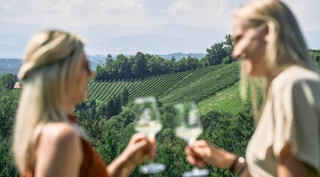 Weingenuss im Weingarten | © Südsteiermark Tourismus | Robert Maybach
