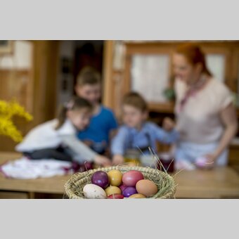 Ostereier färben mit Zwiebelschalen am Zehenthof in Semriach | © STG | Tom Lamm