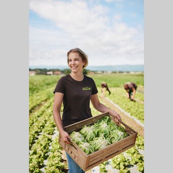 Salaternte am GenussBauernhof Hillebrand | © TV Region Graz | Michael Königshofer