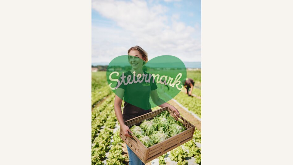 Salaternte am GenussBauernhof Hillebrand | © TV Region Graz | Michael Königshofer