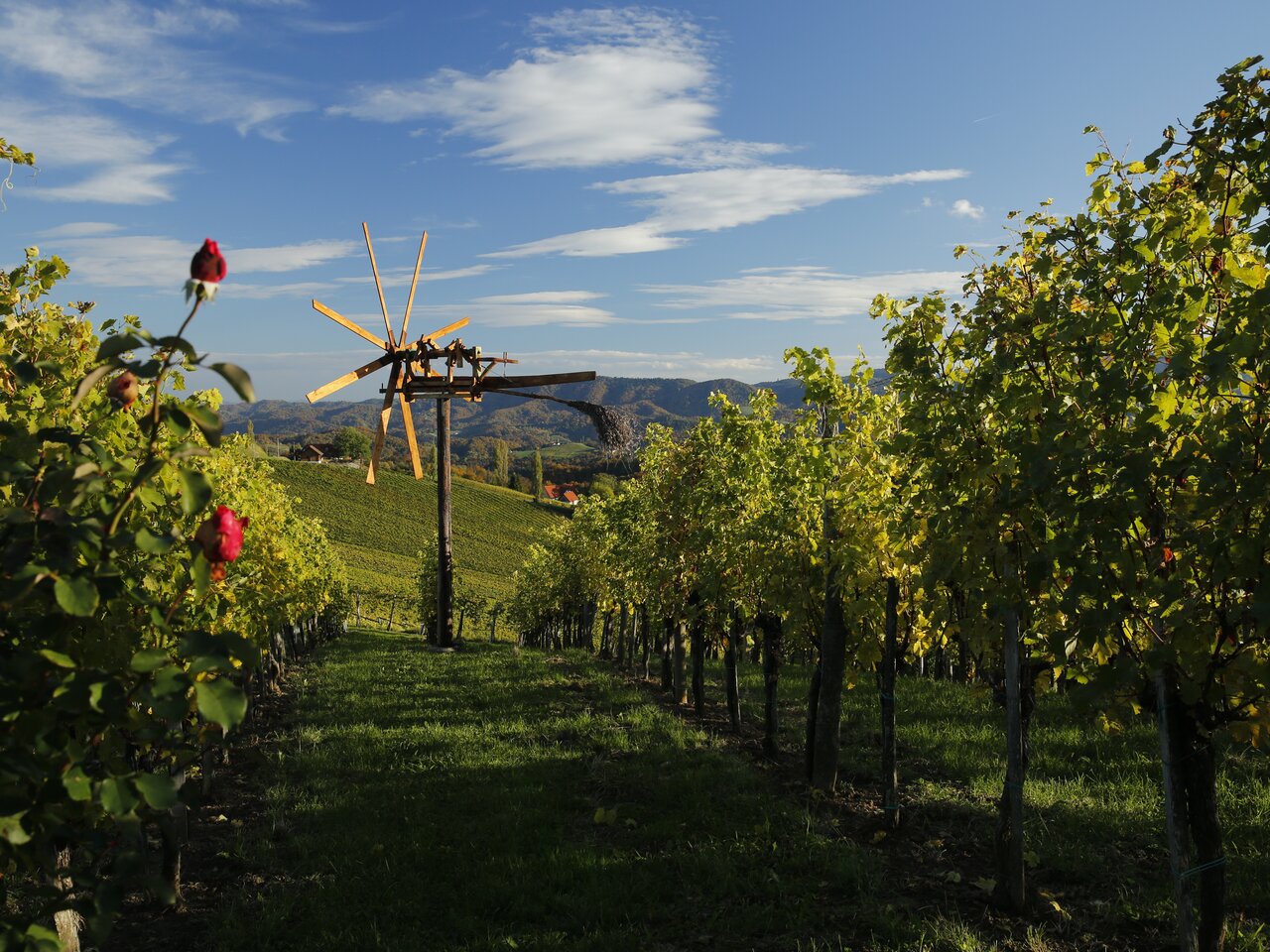 Klapotetz, landmark of the Styrian wine region | © Steiermark Tourismus | Herbert Raffalt