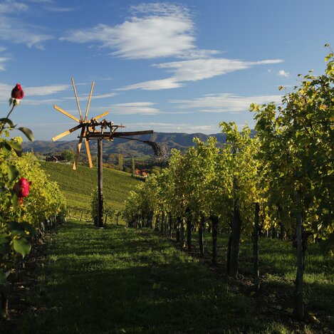 Klapotetz, das Wahrzeichen des steirischen Weinlandes  | © STG | Herbert Raffalt