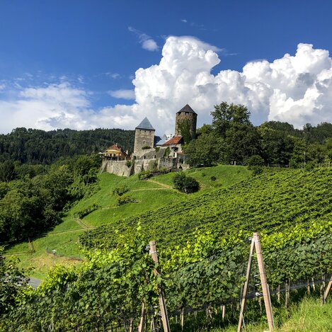 Burg Deutschlandsberg. Wanderroute "Vom Gletscher zum Wein" (Etappe 19, Südroute) | © STG | Martina Traisch