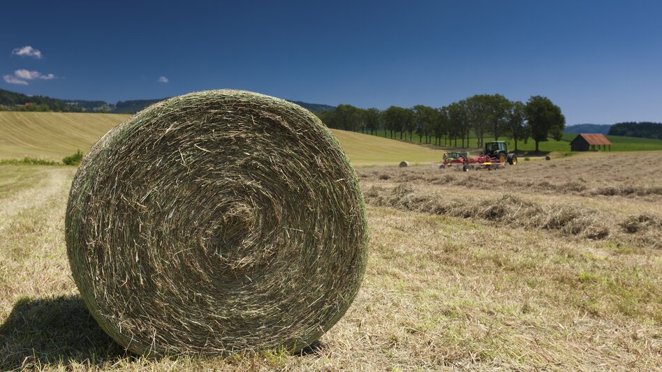 © Steiermark Tourismus | Harry Schiffer | ETZ-Pilgrimage Europe SI-AT