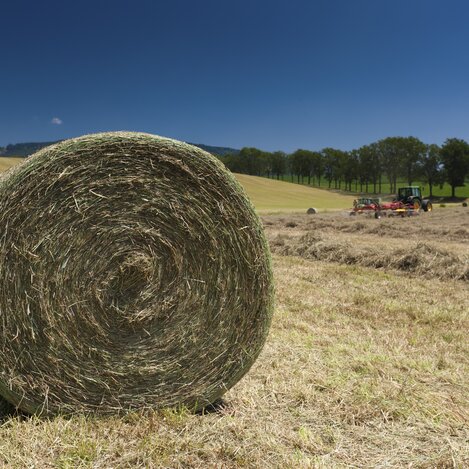 Weststeirischer Jakobsweg, bei Piber | © STG | Harry Schiffer | ETZ-Pilgrimage Europe SI-AT