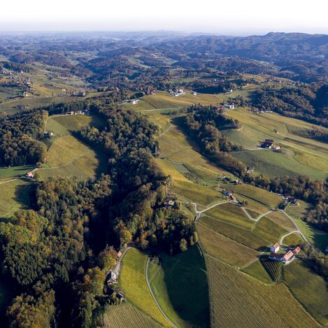 Herbst in der Südsteiermark, Sernauberg | © STG | Tom Lamm