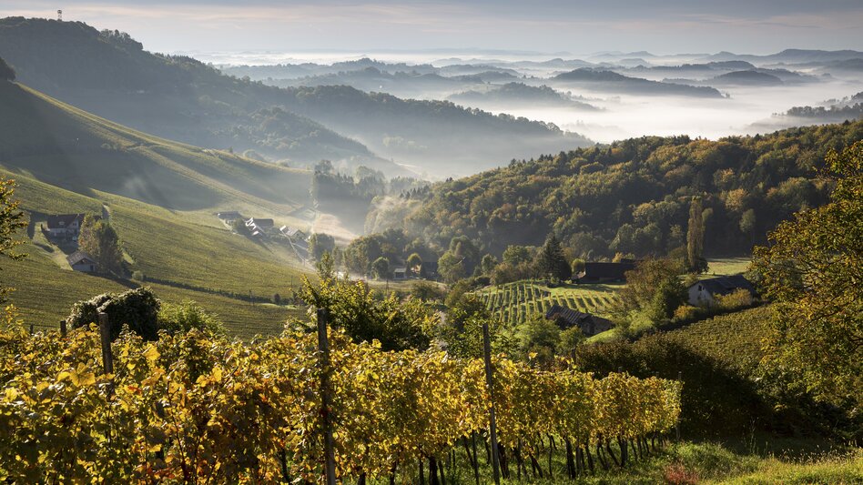 South Styria | © Steiermark Tourismus | photo-austria.at