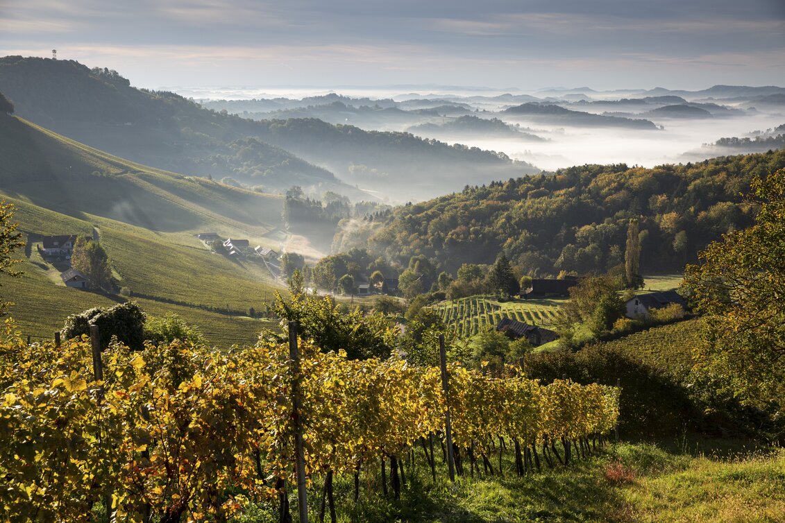 Südsteiermark | © STG | photo-austria.at