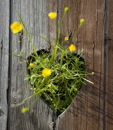 Steiermark: das Grüne Herz Österreichs | © STG | Hummer