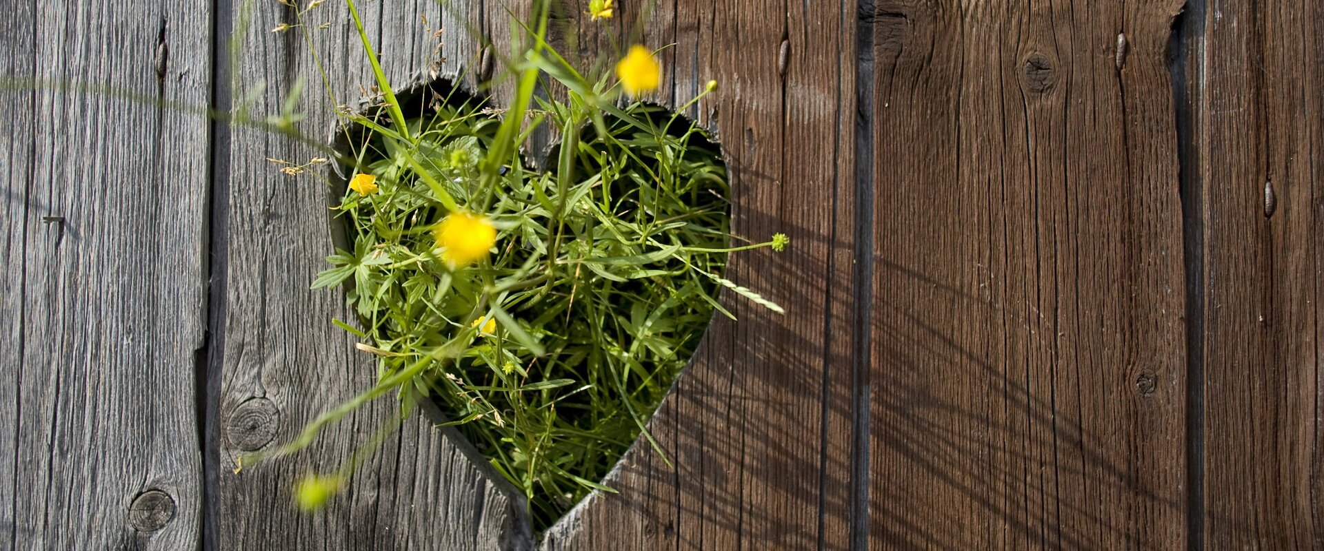 Steiermark: das Grüne Herz Österreichs | © STG | Hummer