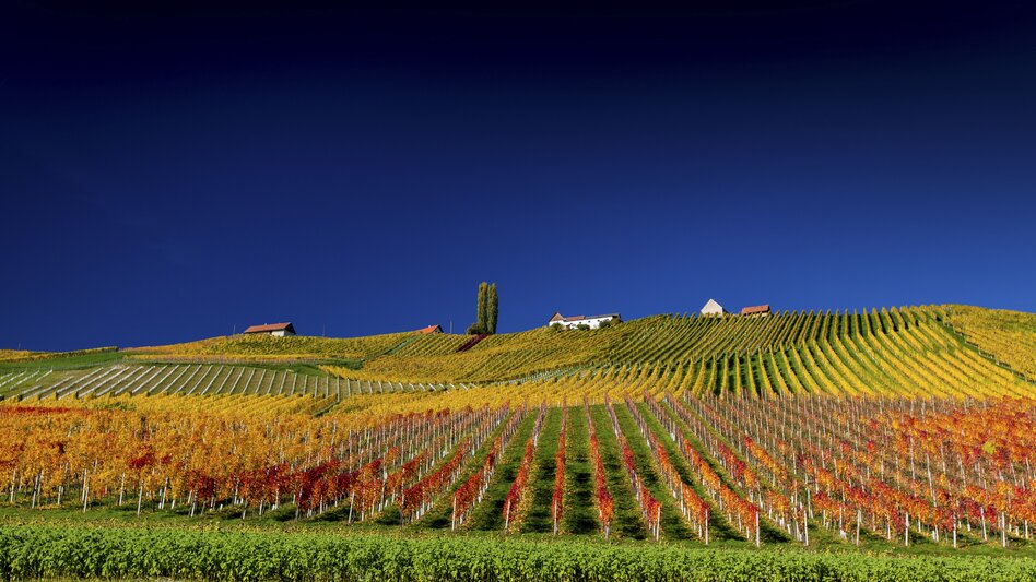 Leibnitz - Impression #2.5