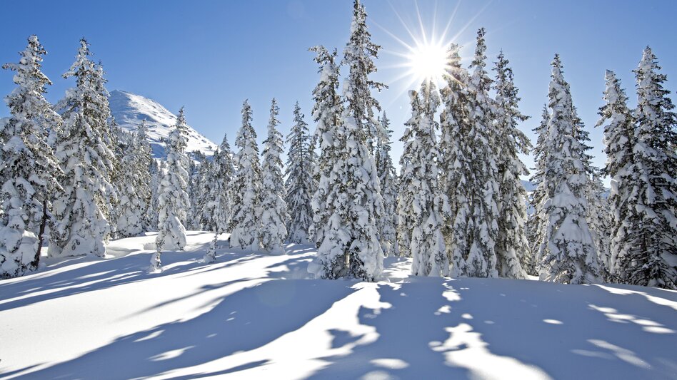 Deep winter in Styria | © Steiermark Tourismus | photo-austria.at