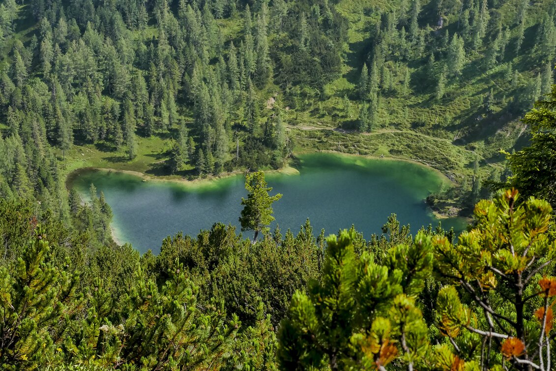 Wanderroute "Vom Gletscher zum Wein" (Etappe 3, Nordroute) | © STG | Manfred Polansky