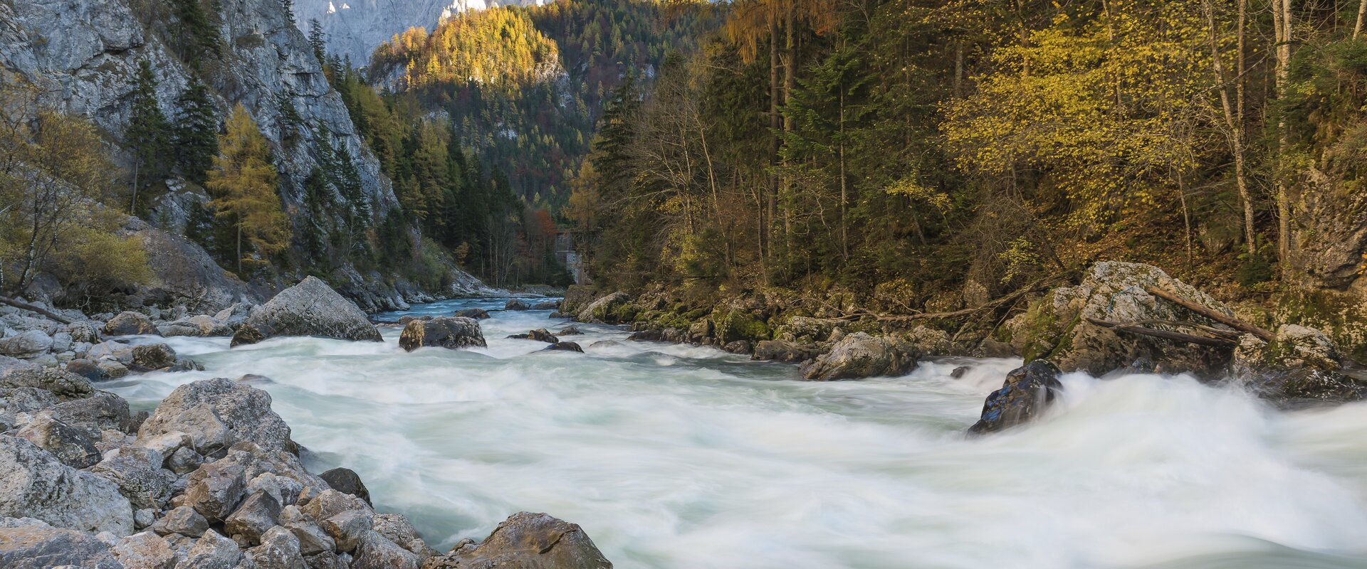 Herbst im Gesäuse-Eingang | © Nationalpark Gesäuse | Andreas Hollinger | Bild-Nutzung nur in Zusammenhang mit dem Nationalpark Gesäuse möglich.