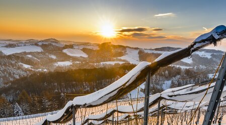 Winter in der Südsteiermark | © STG | pixelmaker.at