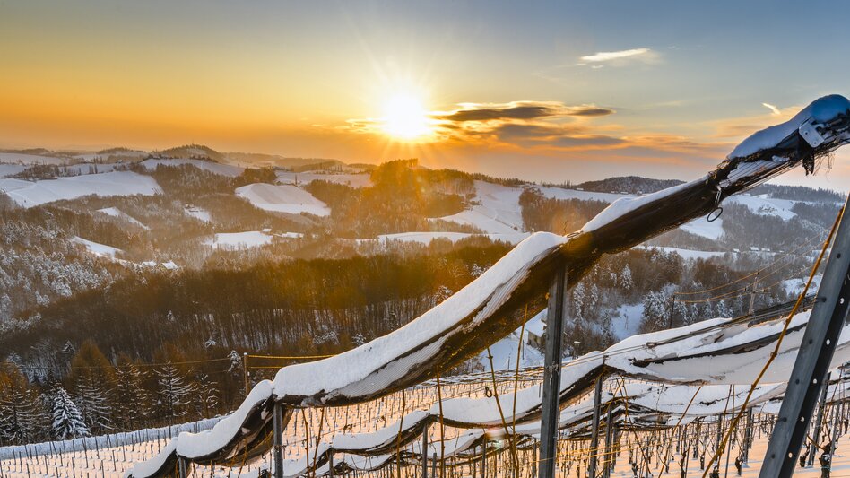 Winer in Southern Styria | © Steiermark Tourismus | pixelmaker.at