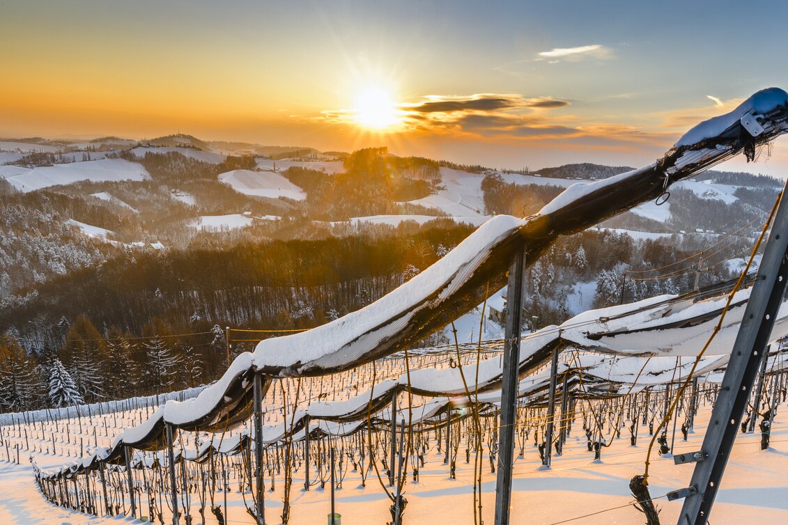 Winter in der Südsteiermark | © STG | pixelmaker.at