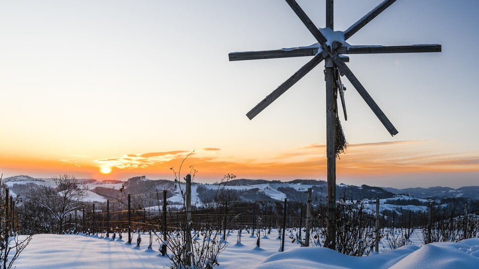 Winer in Southern Styria | © Steiermark Tourismus | pixelmaker.at