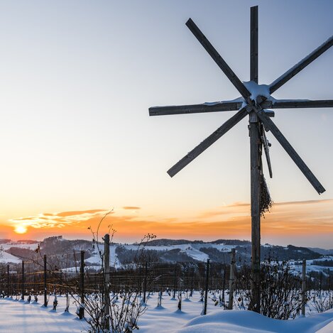 Winter in der Südsteiermark | © STG | pixelmaker.at