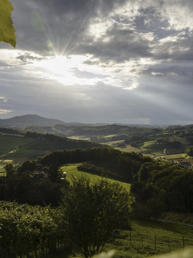 Thermenland wine route, close to Fehring | © Steiermark Tourismus | Atelier Jungwirth / Werner Schandor