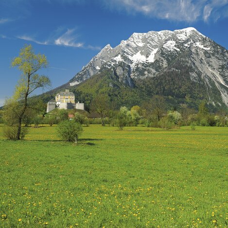 Grimming und Schloss Trautenfels | © STG | Hagspiel