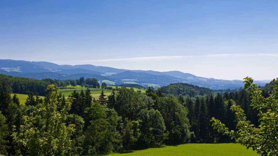 © Steiermark Tourismus | Leo Himsl | ETZ-Pilgrimage Europe SI-AT