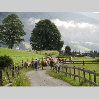 In Oberetrach im Krakautal | © STG | Podpera | Podpera