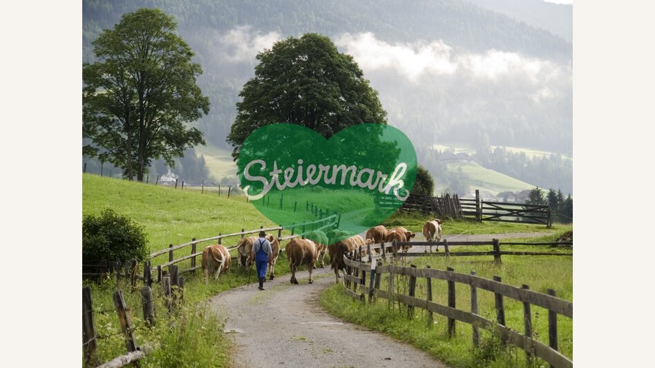 In Oberetrach im Krakautal | © STG | Podpera | Podpera