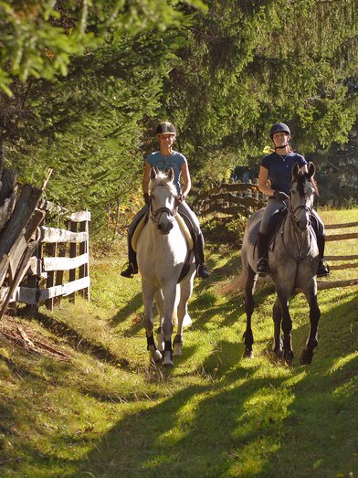 Riding | © Steiermark Tourismus | photo-austria.at