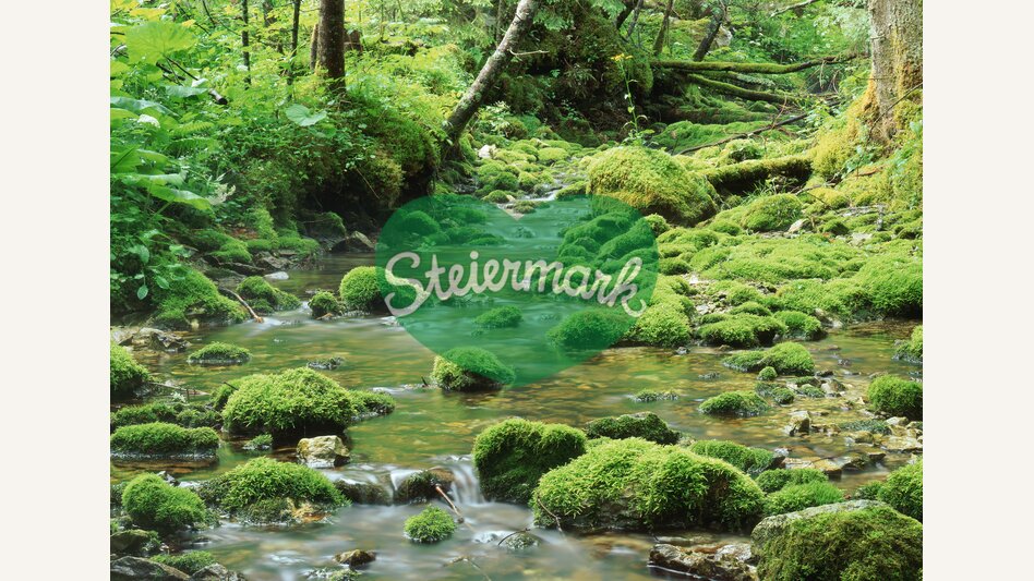 Hochschwabwasser | © STG