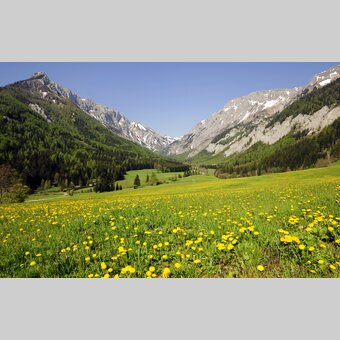 Seewiesen | © STG | Gery Wolf