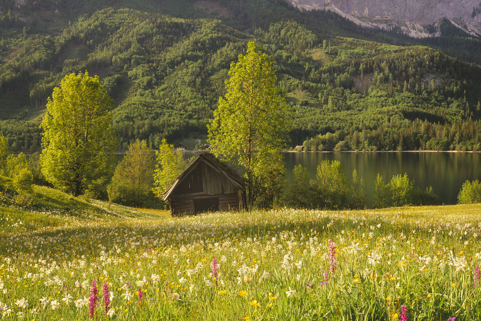 © Steiermark Tourismus | Popp-Hackner