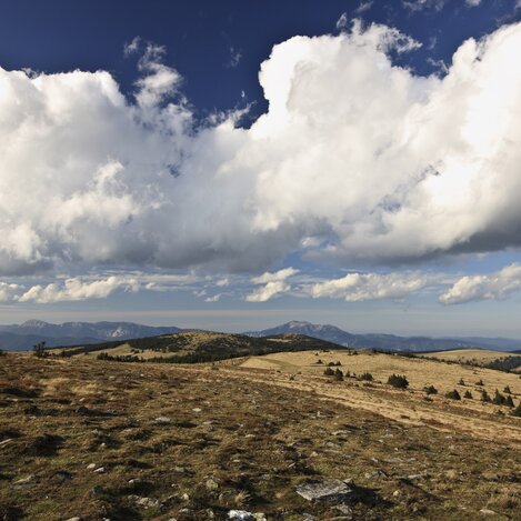 Oststeiermark-Panoramaweg | © STG | Harry Schiffer
