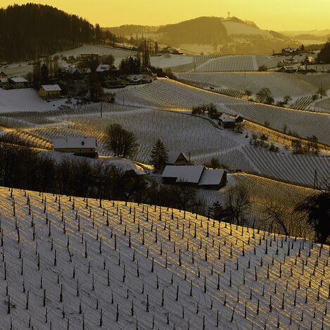 Südsteirische Weinstraße | © STG | pixelmaker.at