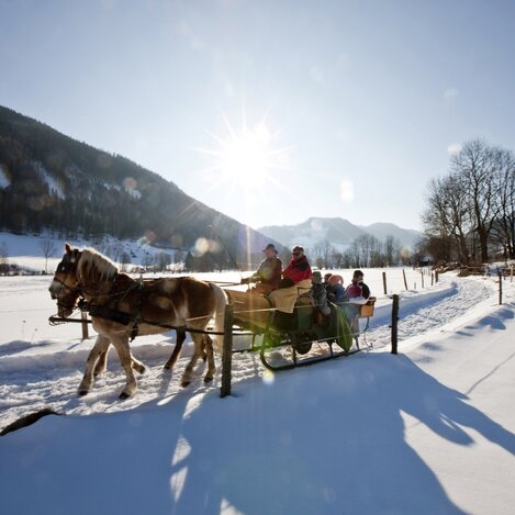 Gemütliche Pferdeschlittenfahrt | © STG | Tom Lamm