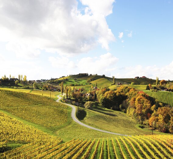 © Steiermark Tourismus | Gery Wolf | for press only!