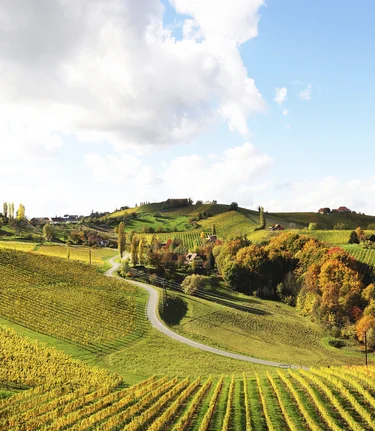 © Steiermark Tourismus | Gery Wolf | for press only!