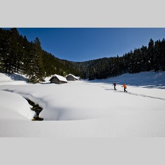Mit Schneeschuhen unterwegs | © STG | Tom Lamm