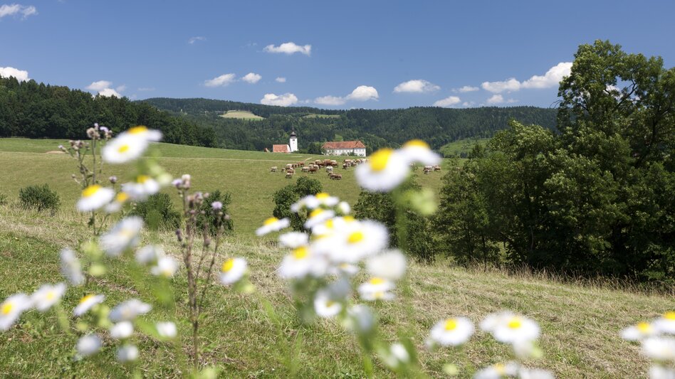 © Steiermark Tourismus | Harry Schiffer | ETZ-Pilgrimage Europe SI-AT