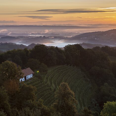 Sausaler Weinstraße bei Kitzeck | © STG | Harry Schiffer