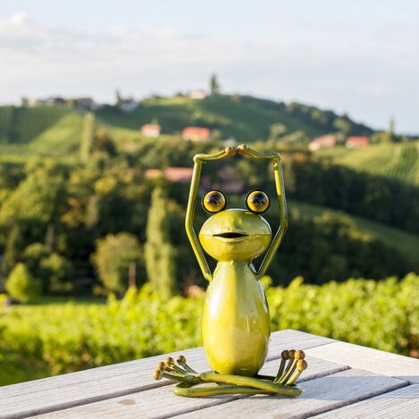 Wetterfrosch im Weinland | © STG | Tom Lamm